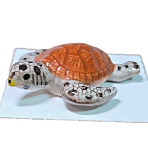 Little critterz hawksbill - little,